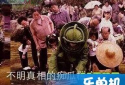 朝阳吃瓜群众什么意思,网络热词背后的社会现象